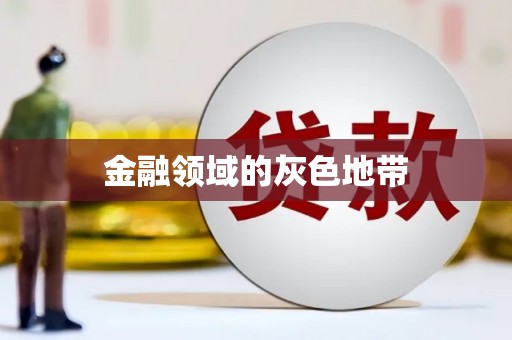 维西金融领域的灰色地带