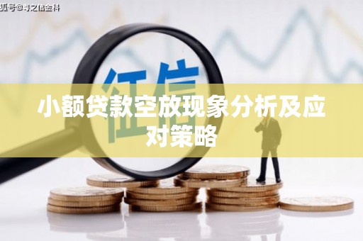 南江小额贷款空放现象分析及应对策略