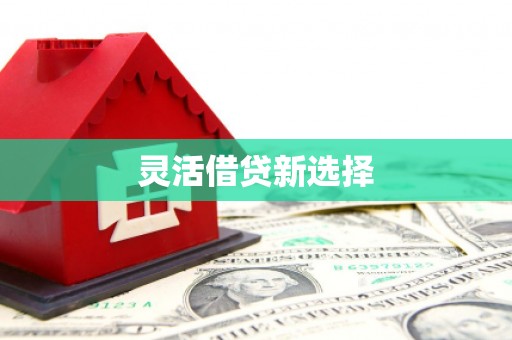 盘县灵活借贷新选择