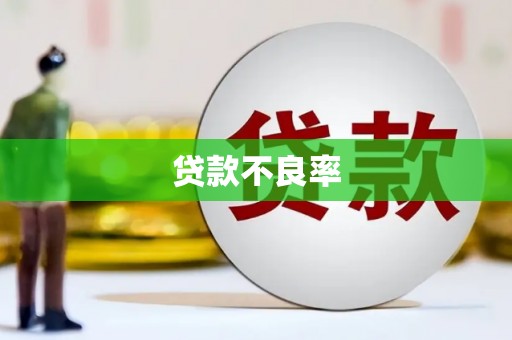中西区贷款不良率