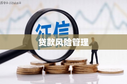 翔安贷款风险管理