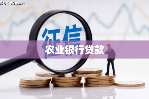 带岭农业银行贷款