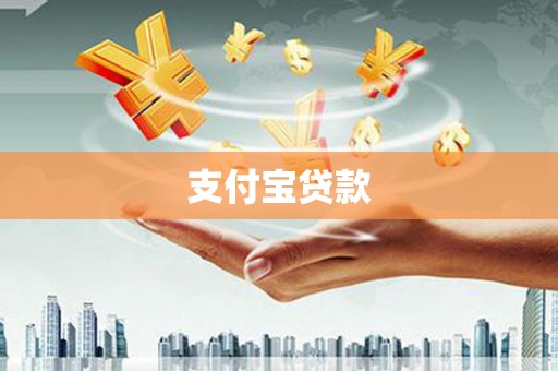 元长支付宝贷款